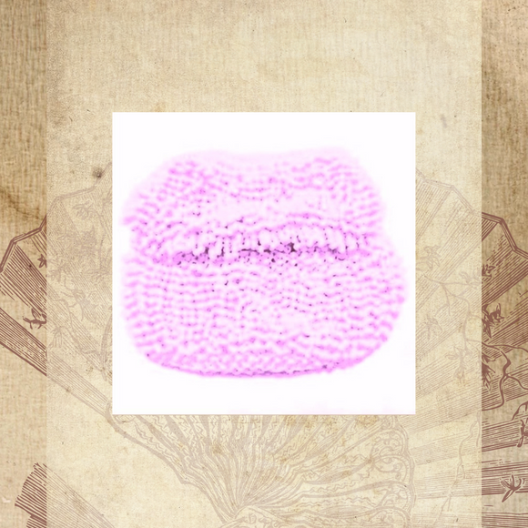 Online Workshop 3 Bead Knitting